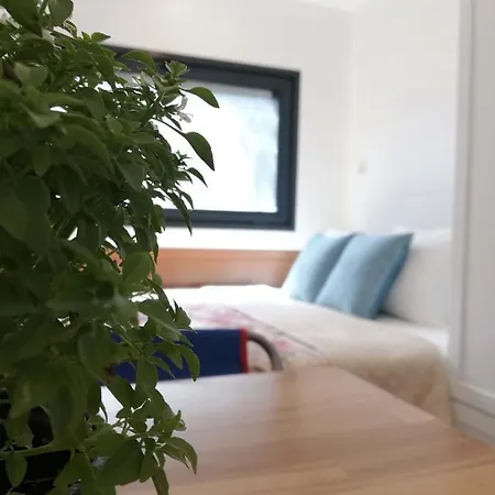 Cozy Tiny House Surrounded By Olive Grove Near Beach In Ayvacik