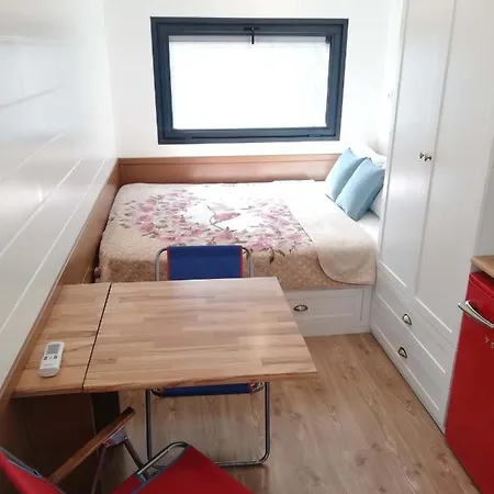 Cozy Tiny House Surrounded By Olive Grove Near Beach In Ayvacik * Küçükkuyu