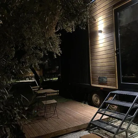 Cozy Tiny House Surrounded By Olive Grove Near Beach In Ayvacik Küçükkuyu