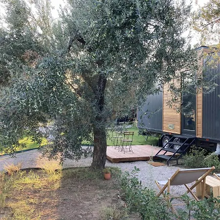 Tatil Evi Cozy Tiny House Surrounded By Olive Grove Near Beach In Ayvacik Küçükkuyu