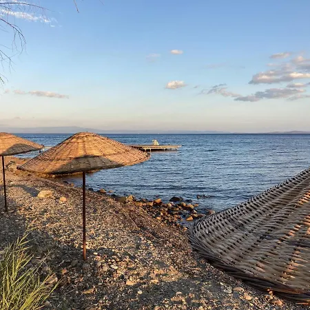 Cozy Tiny House Surrounded By Olive Grove Near Beach In Ayvacik Tatil Evi