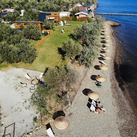 Tatil Evi Cozy Tiny House Surrounded By Olive Grove Near Beach In Ayvacik *