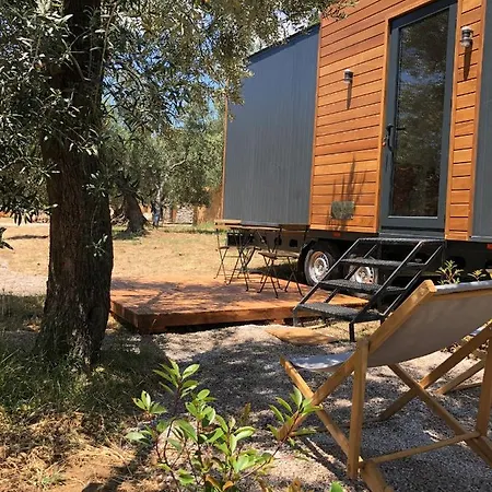 Cozy Tiny House Surrounded By Olive Grove Near Beach In Ayvacik