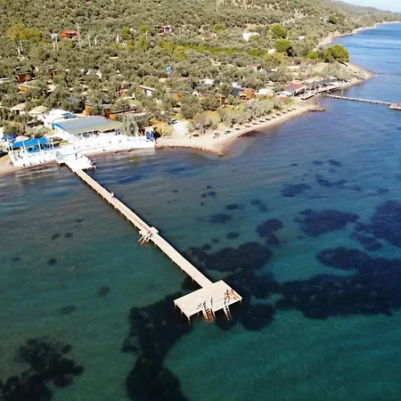Cozy Tiny House Surrounded By Olive Grove Near Beach In Ayvacik Tatil Evi Küçükkuyu