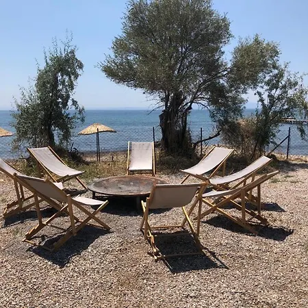 Cozy Tiny House Surrounded By Olive Grove Near Beach In Ayvacik Küçükkuyu